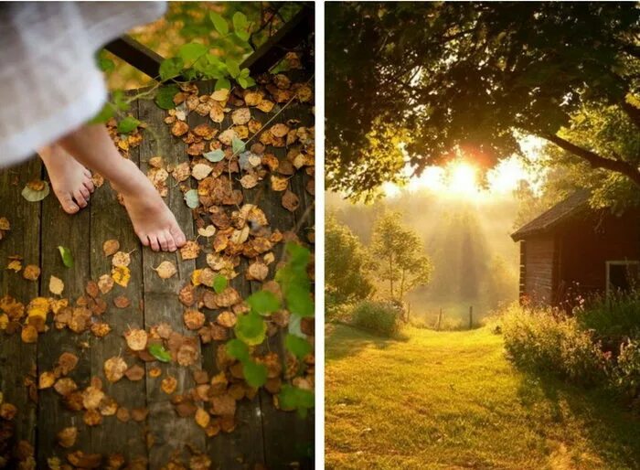 Счастье не там где много. Счастье осенью. Люблю жизнь осень. Счастье внутри осень. Осень внутри.
