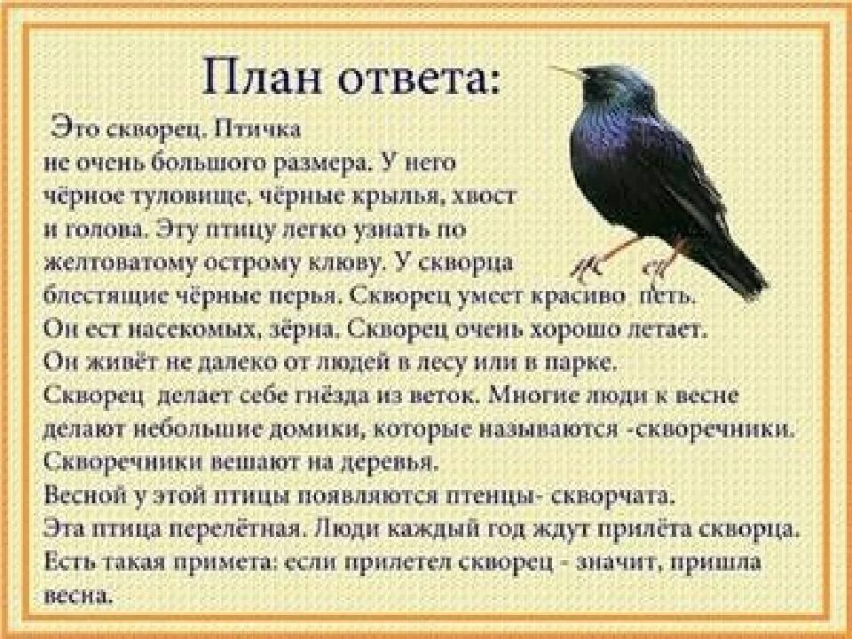 Скворец молодец 2 класс. Описательный рассказ о скворце для дошкольников. Рассказ о перелетных птицах. Рассказать перелетные птицы. Рассказ про перелетных птиц для дошкольников.