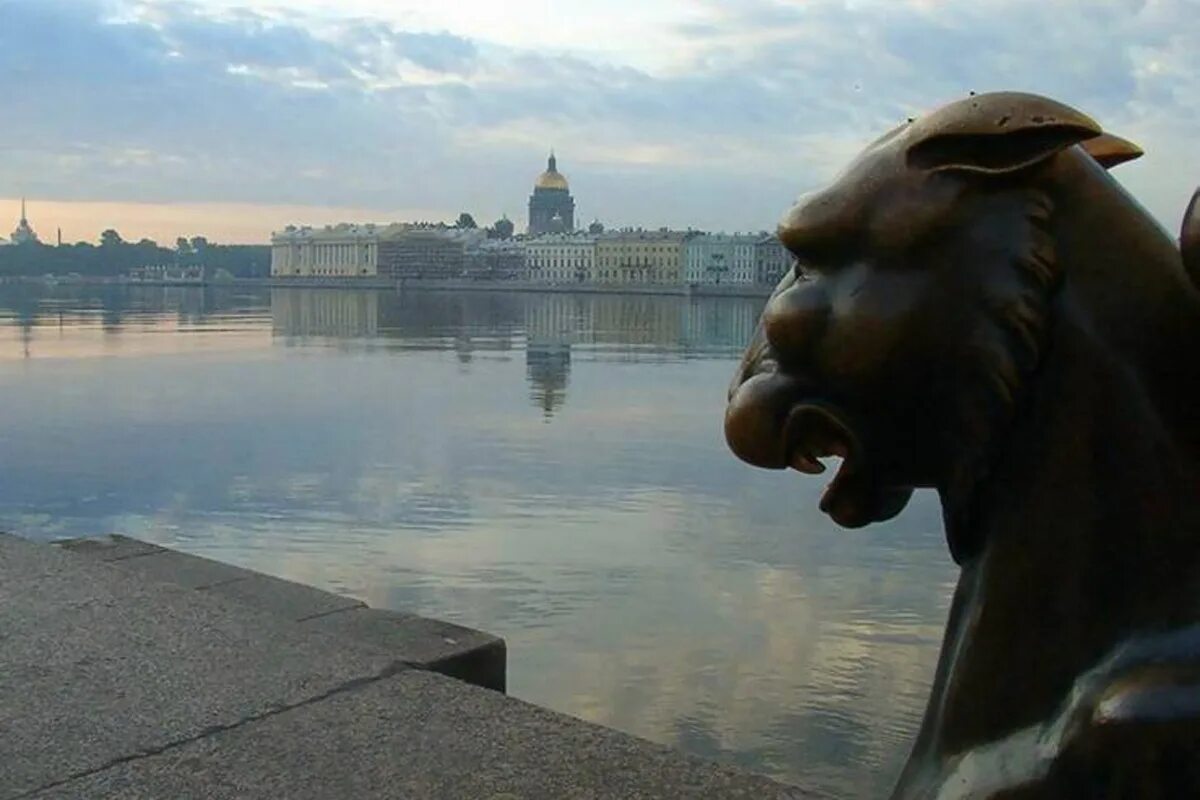 Белые ночи в петербурге до какого числа. Белые ночи санкт-петербург. грифоны на васильевском острове. пик белых ночей в санкт-петербурге. стрелка васильевского острова каменный лев.