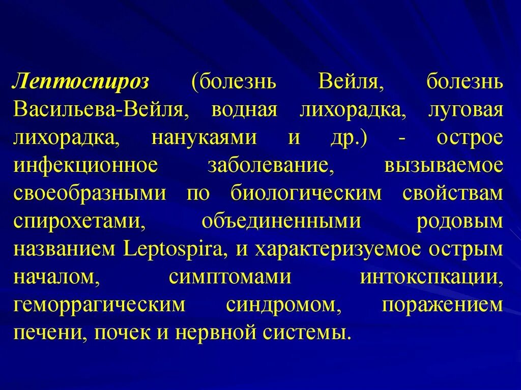 Лептоспироз инфекционный. Болезнь Вейля лептоспироз. Лептоспироз контагиозность. Симптомокомплекс лептоспироза. Патогенез заболевания лептоспироз.