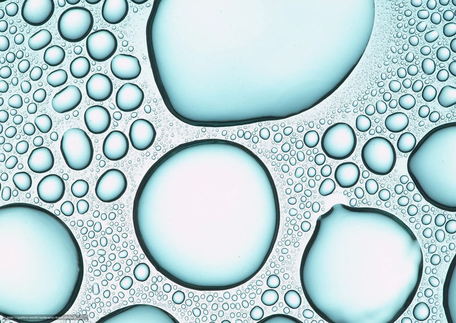 Пузыри текстура. Капли текстура. Графическая текстура пузырей. Обои пузырьки. Виниловые обои пузырями