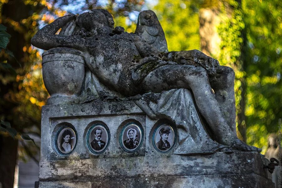 Фотографии Львовской области от путешественников и туристов