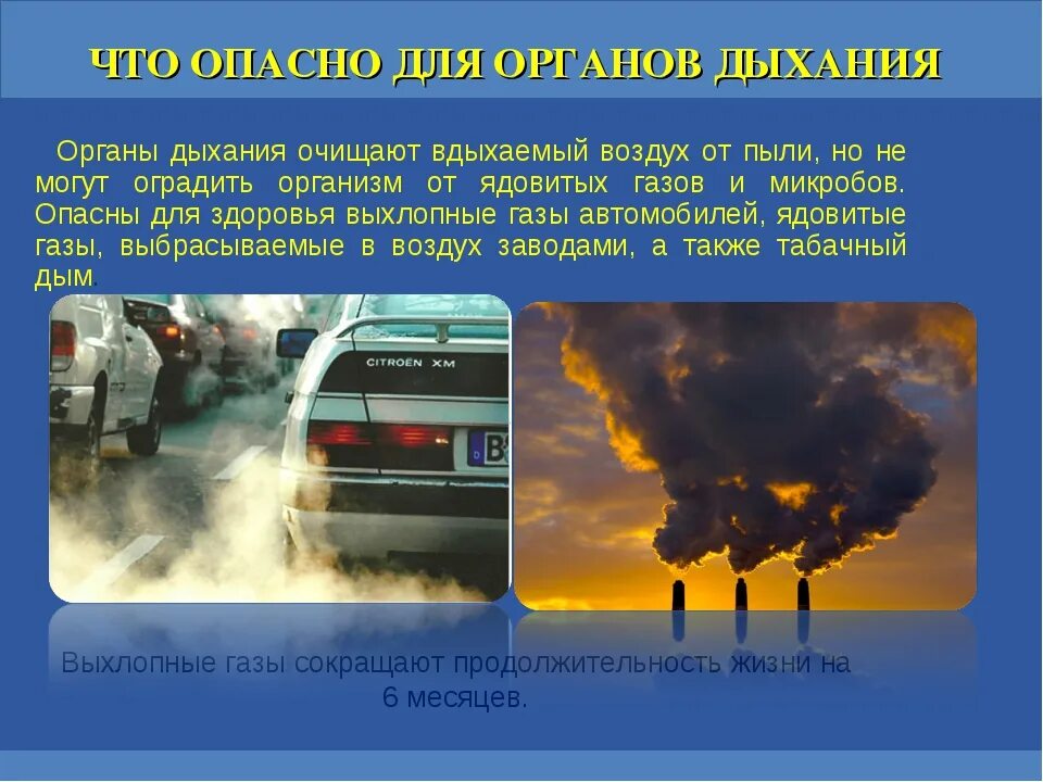 Опасные газы тест