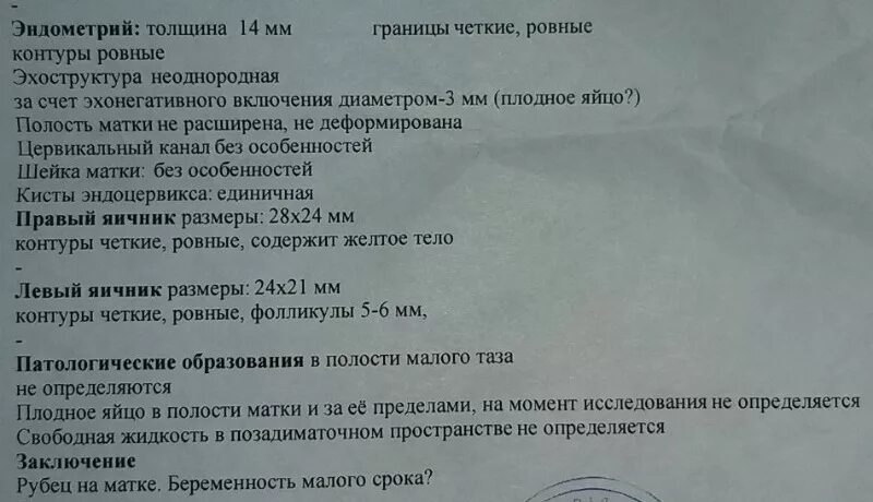 Толщина эндометрия 16 мм при беременности. Эндометрий 12 мм при беременности. Эндометрий 11 мм при беременности. Толщина эндометрия при беременности на ранних сроках норма. Эндометрий 14 день