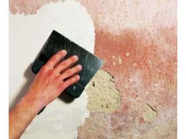 Шпаклевочная краска. Шпатлевка на краску. Краска пва. Шпаклёвка стен под покраску. Шпатлевка полимер клеевая диола.