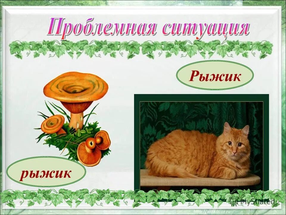 Составить предложение со словом рыжик. Рыжики презентация. рыжик класс тип. рыжик предложение. предложение со словом рыжик.