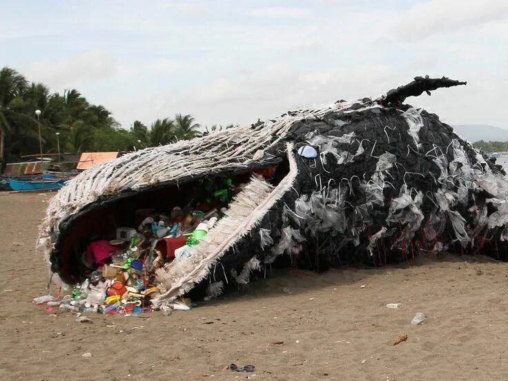 Animal waste. Animal waste. Загрязненная экология животные. Экология животные. Animal waste.