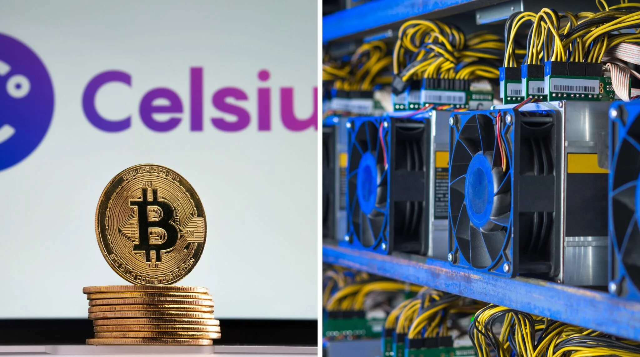 Celsius network
