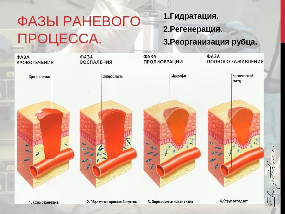 Зажило какое время