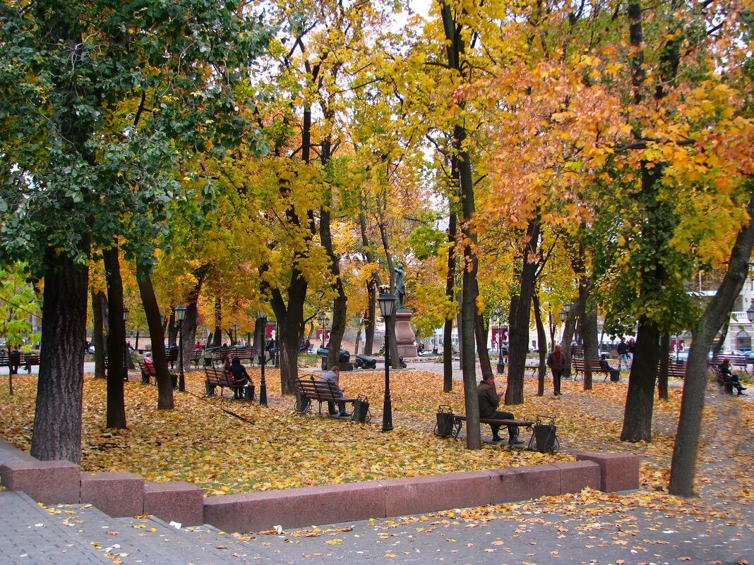 Куз воронеж. Воронеж Петровский сквер осень. Петровский парк Воронеж. Кольцовский сквер Воронеж осенью. Сквер в Борисоглебске осень.