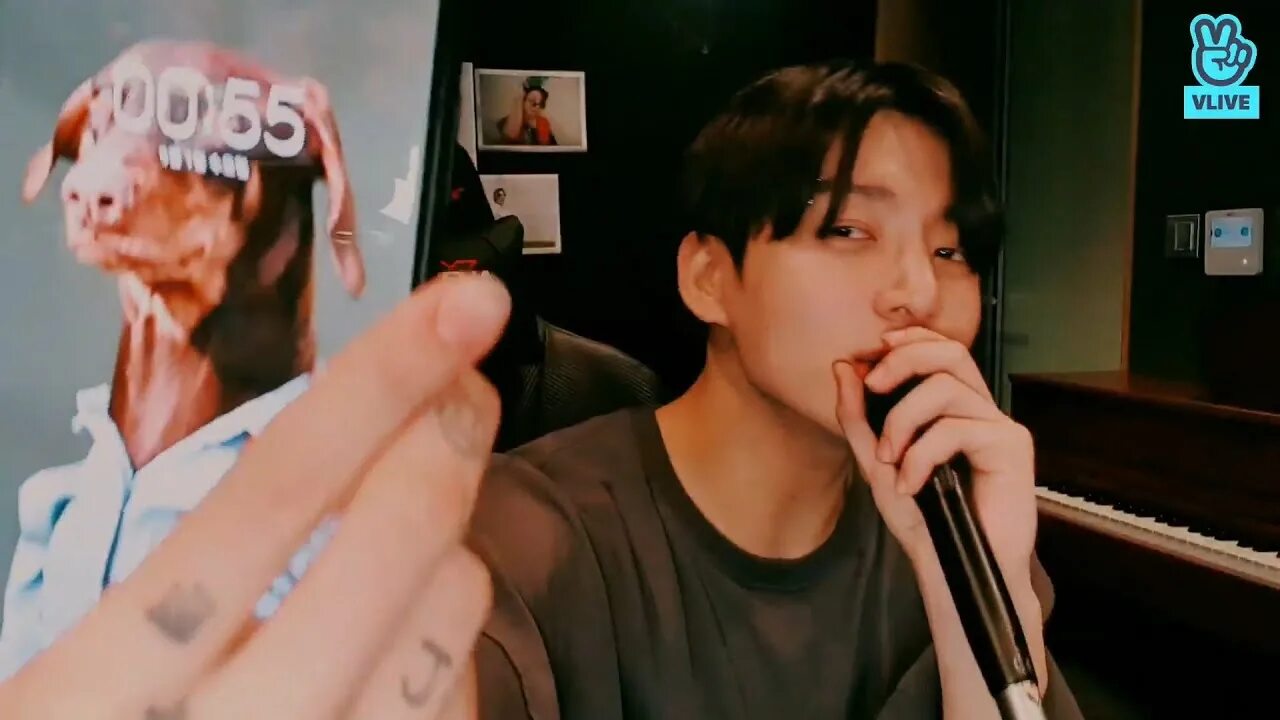 Номера bts настоящие. Собака чонгука бэм. Гуки бтс. Bts jungkook. Чон гук из бтс.