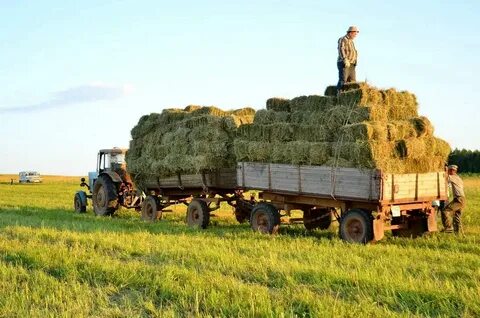 Уборка урожая зимой