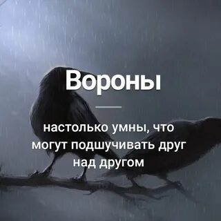 Над другими в том что