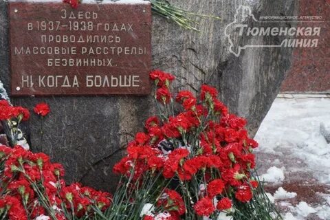 Репрессии 1937 1938 годов