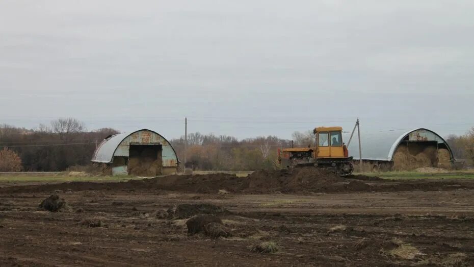 Новобогородицкое Петропавловский район Воронежская область. Село Петропавловка Калининское кольца на границе. Село Петропавловское Тульская область девушки. Новобогородицкое Петропавловский район фото.