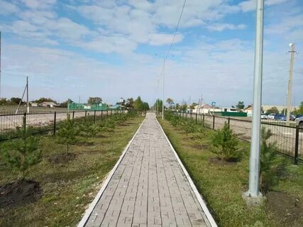 Жаксы
