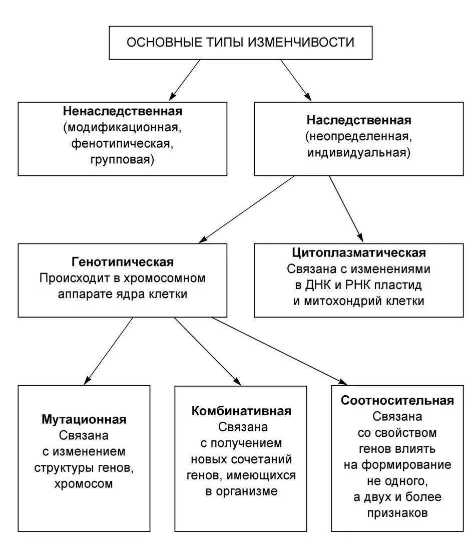 Изменчивость таблица биология. Таблица типы изменчивости биология 9 класс. Биология 9 класс таблицы наследственная изменчивость. Типы изменчивости биология таблица. Типы наследственной изменчивости таблица.