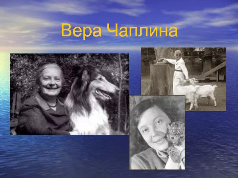 Про чаплина. Про чаплина. В. Про чаплина. Чаплина писатель.