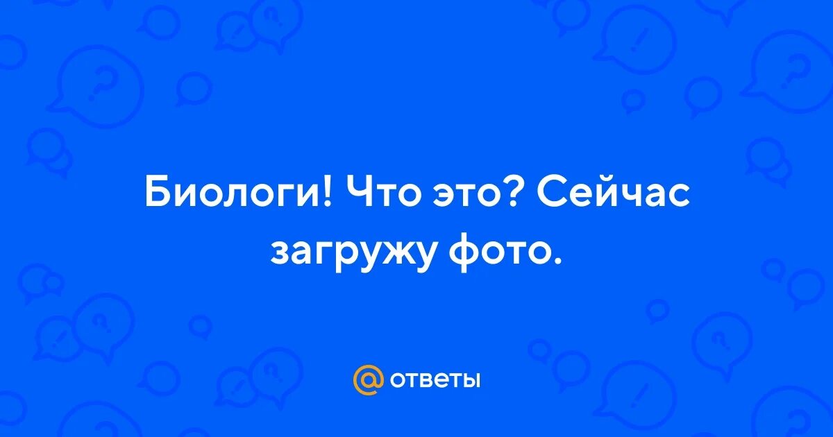 Что сейчас загружается. Что сейчас загружается