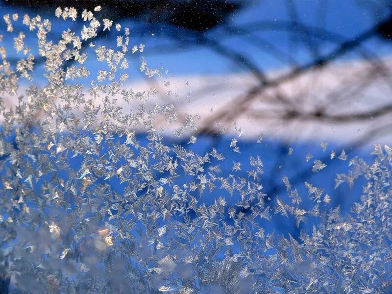 дождик шел снег кружил