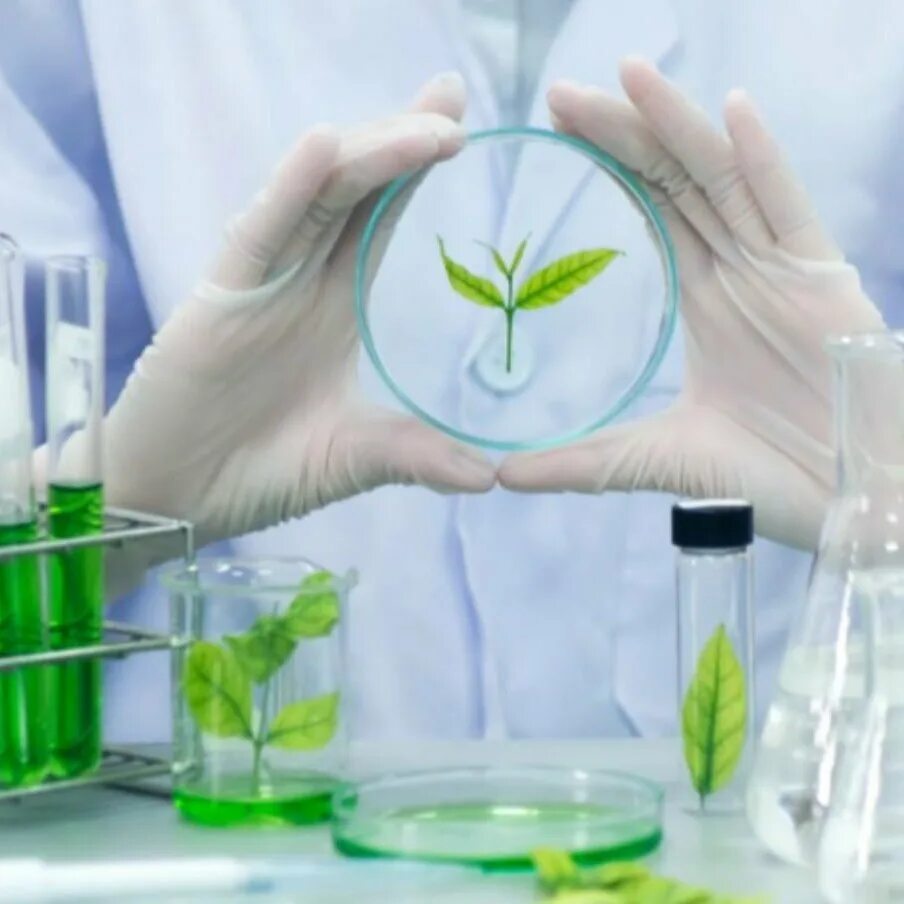 Промышленная экология и биотехнологии. Промышленная экология и биотехнологии. Биотехнология. Биотехнология. Промышленная экология и биотехнологии.