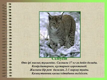 Микки Маустың порносын онлайн көру