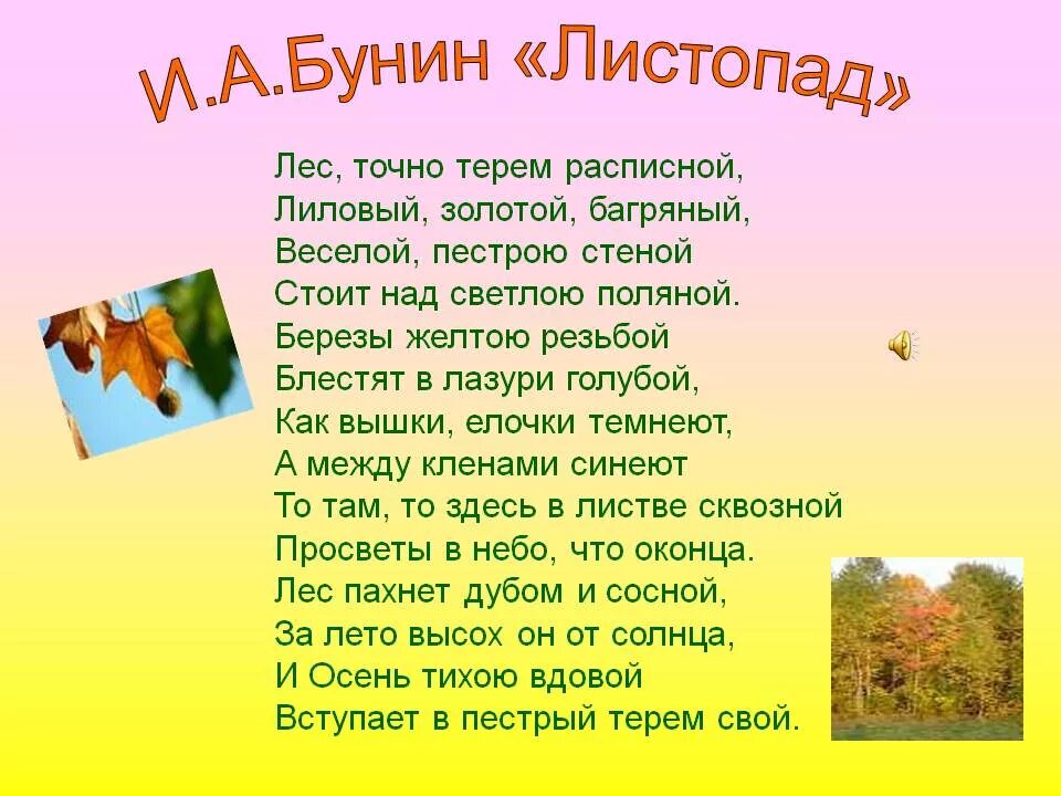 Стих листопад Бунин 4 класс. Стих листопад Бунин 4 класс полностью. Поэзия о лесе