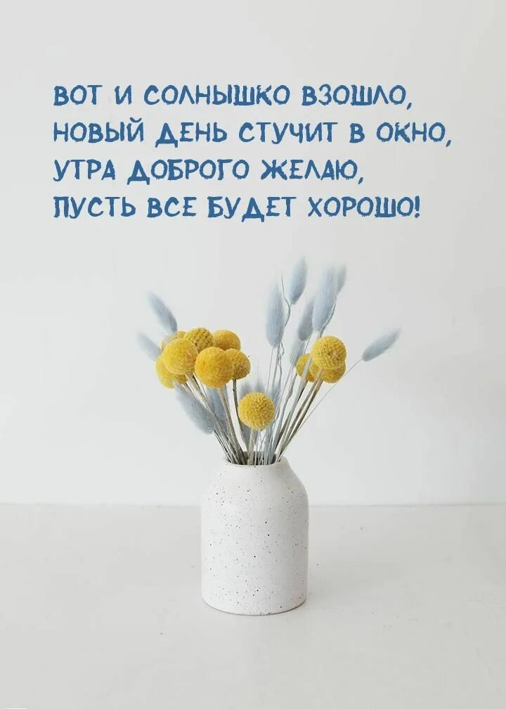 С днем распахнутых окон открытки. Прикольные надписи на дверь в комнату. Таблички на дверь в комнату подростка. Табличка "стучите!". День постучать.