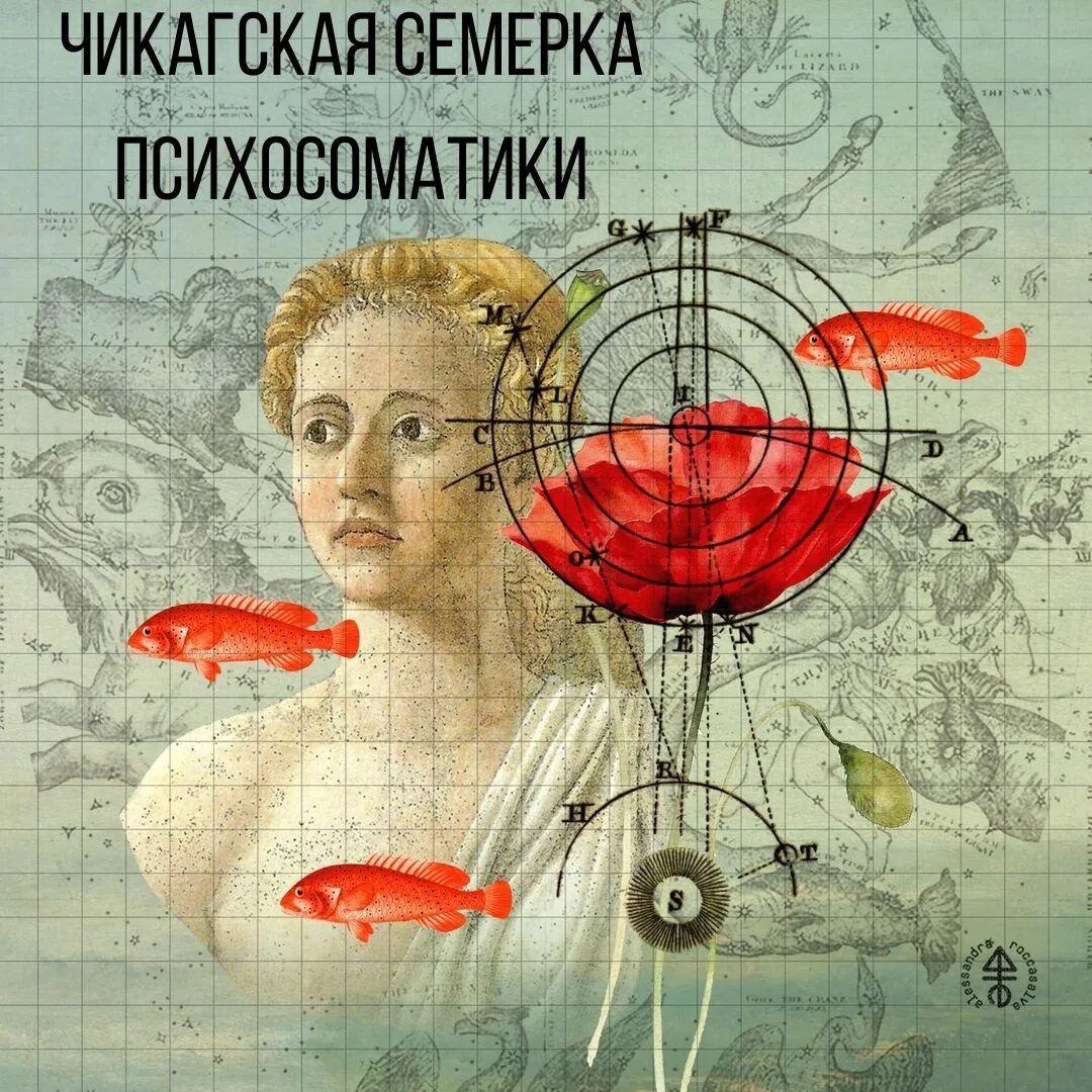 Чикагская семерка психосоматика. Психосоматика 7 заболеваний. Чикагская семерка психосоматика. Чикагская семерка психосоматика. Чикагская семерка психосоматика.