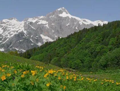 Кавказские горы краснодарского края