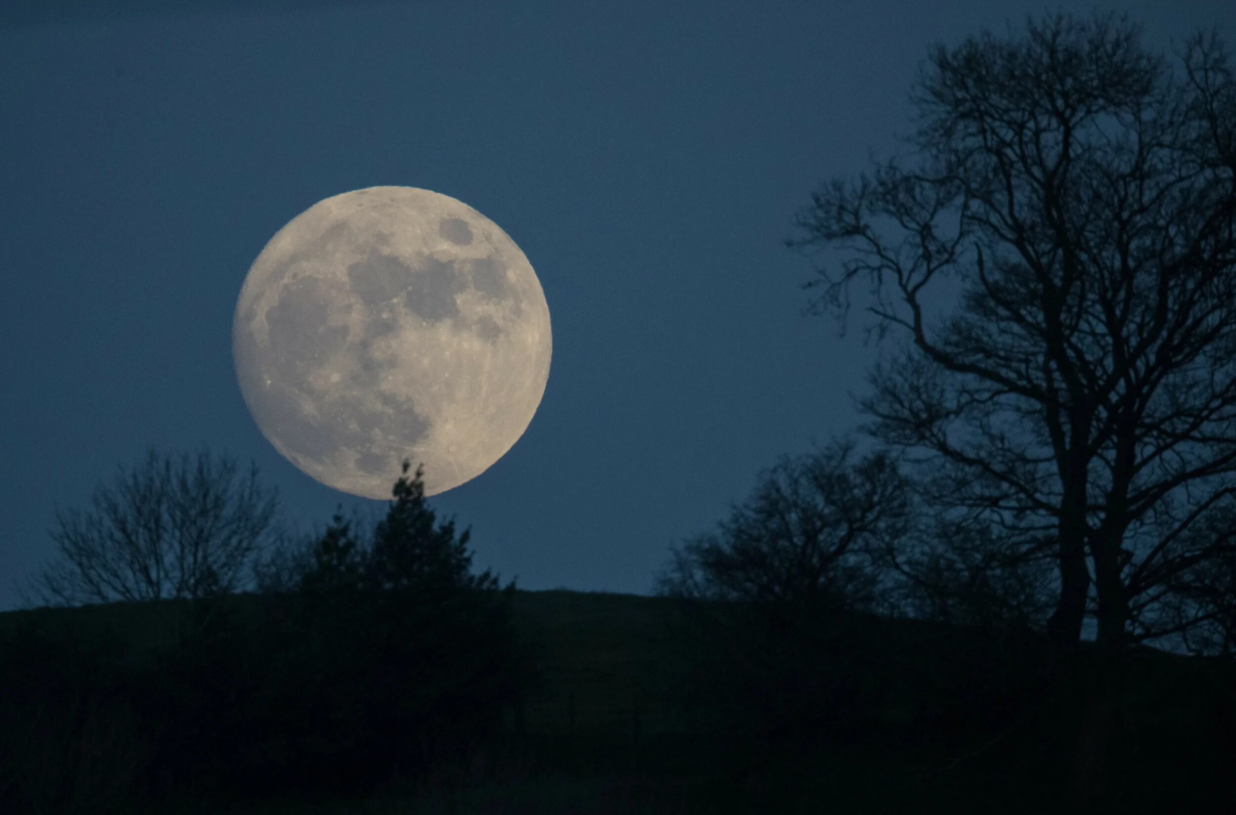 Луна. Огромная Луна. Полная Луна. Фото Луны.