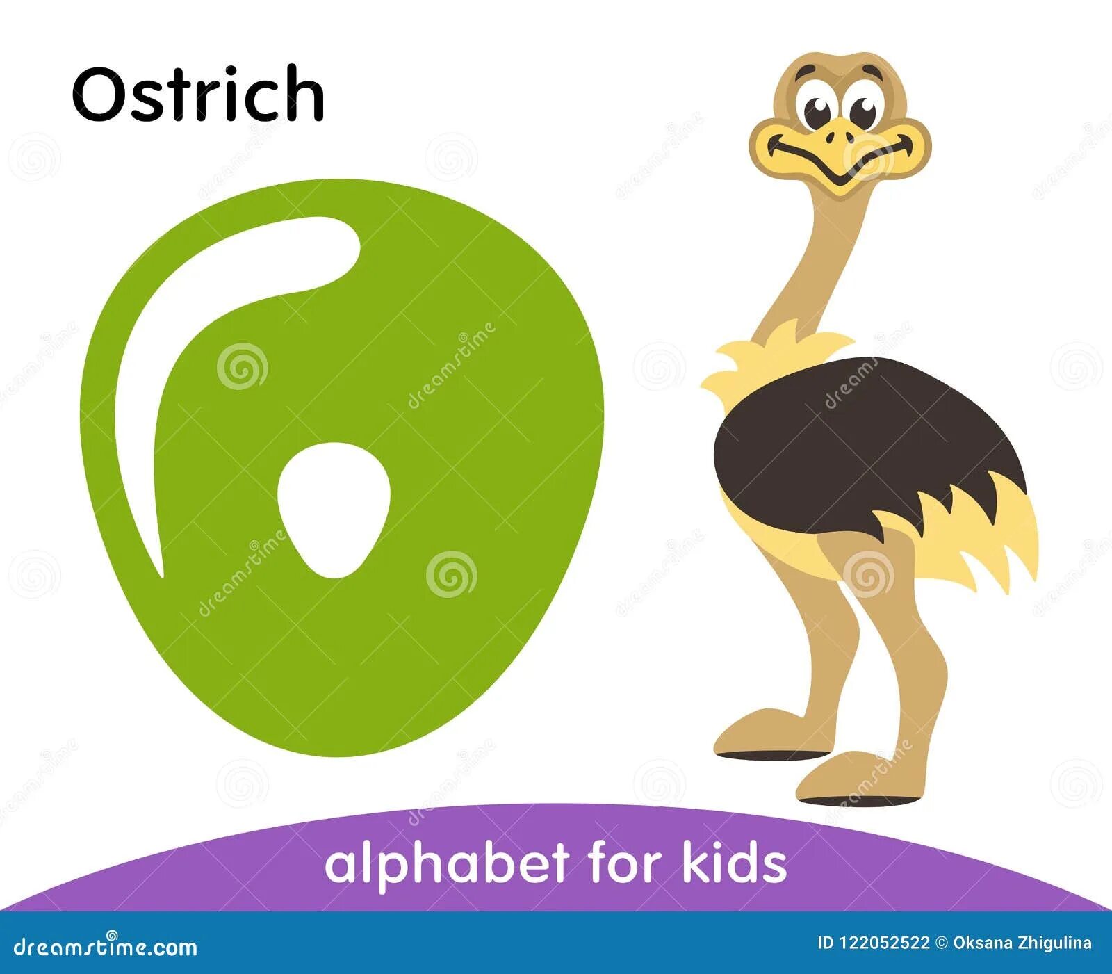 Страус на английском. Страус описание. Страус на английском. Буква г в виде гуся. Страус эму презентация.