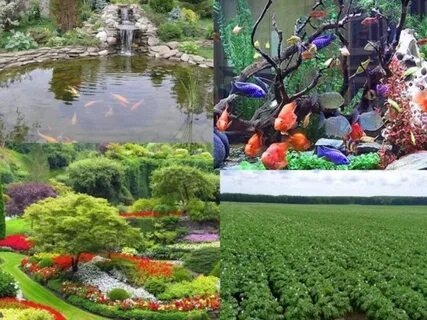 Какие искусственные сообщества вы знаете