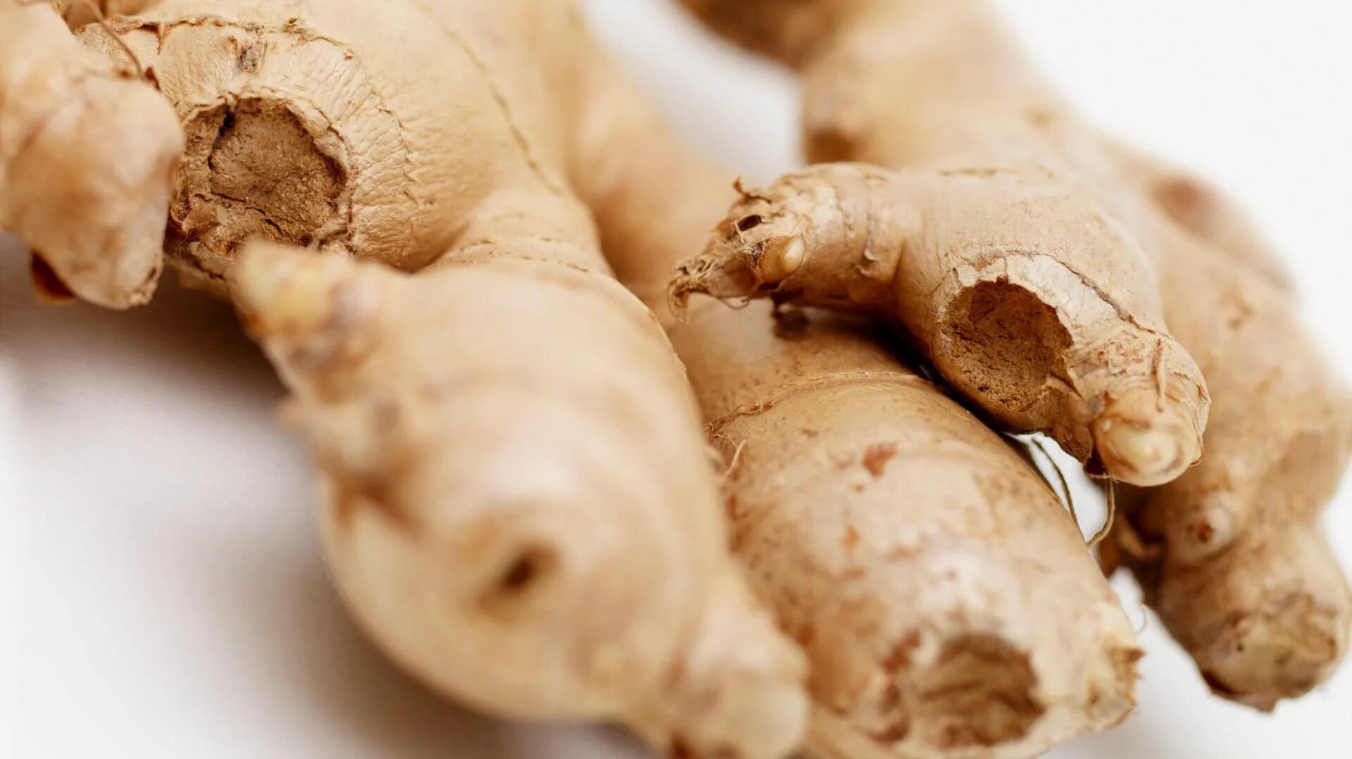 Женьшень имбирь. Корень имбиря и корень женьшеня. Имбирный корень. Имбирь фото. Жень шень сушенный в пакетах.