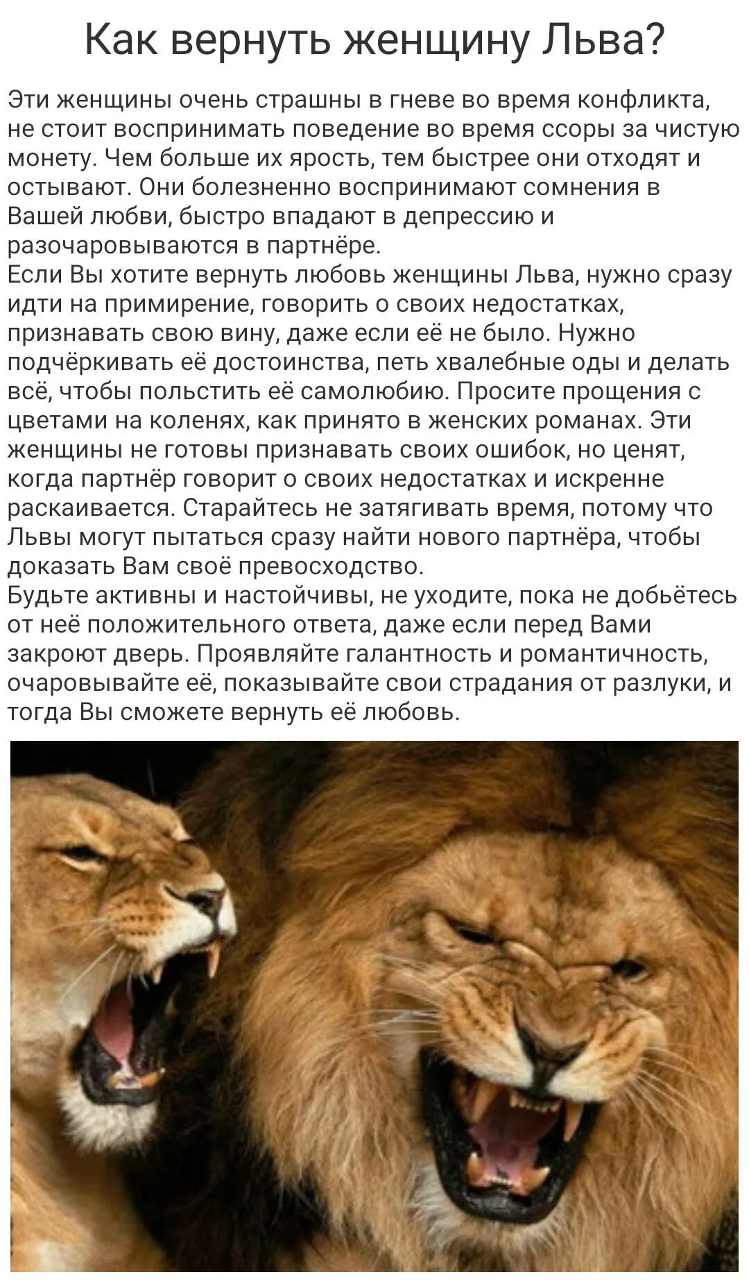 Гороскоп на сегодня лев мужчина. Лев характеристика. Лев по гороскопу. Характеристика Львов. Характер Льва.