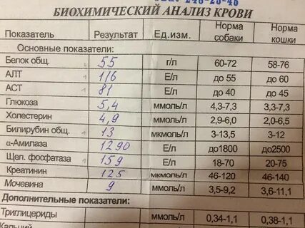 Какие показатели анализы при раке
