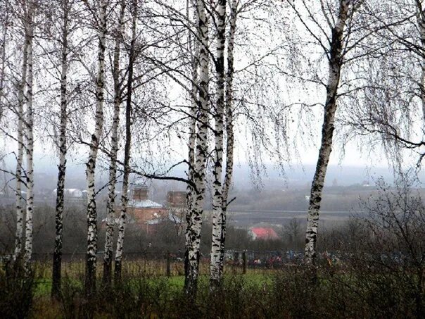 Погода верхний реутец курской области медвенского района. Село верхний Реутец Медвенский район Курская область. Амосовка Медвенский район Курская область. Гостомля Медвенский район. Гостомля Курская область Медвенский район.