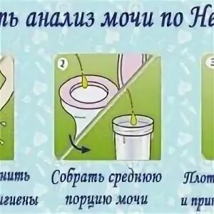 Можно ли хранить мочу в холодильнике