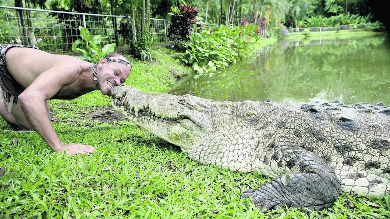 Гильберто седден крокодил почо. Дружба человека и крокодила почо и чито. Рыбак чито и крокодил почо. Гильберто седден крокодил почо. Лицо крокодила.