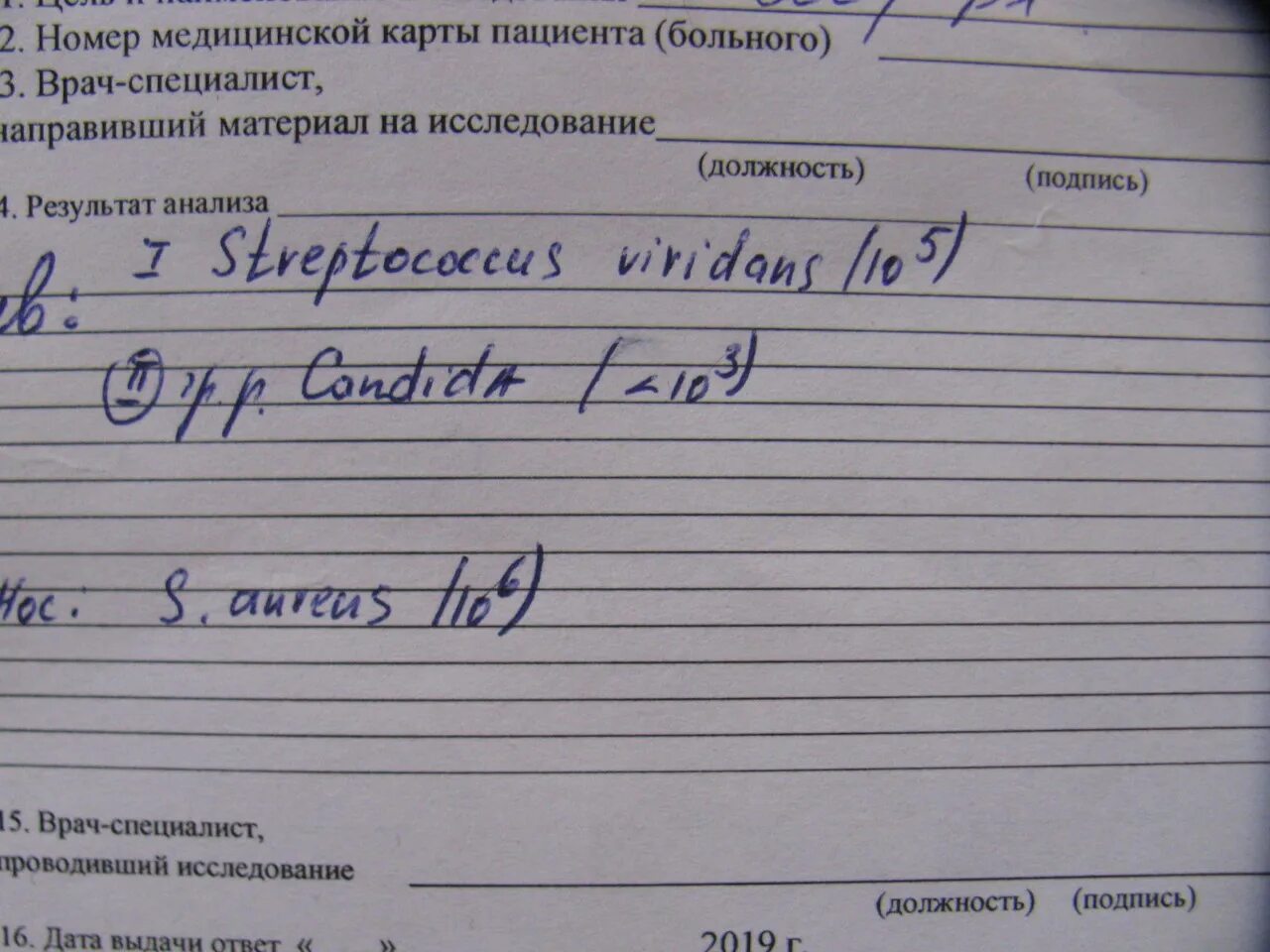 Сдать посев из зева и носа. Направление мазка на bl. направление на стафилококк. справка мазок из зева и носа на стафилококк. направление на мазок из зева и носа на обследование.