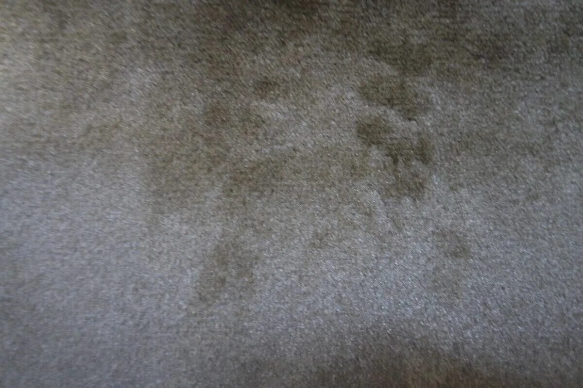 портьерная ткань 802 13. гуччи черная стрейч. красная ткань хлопок. микровискоза черная. бархат 5 букв.