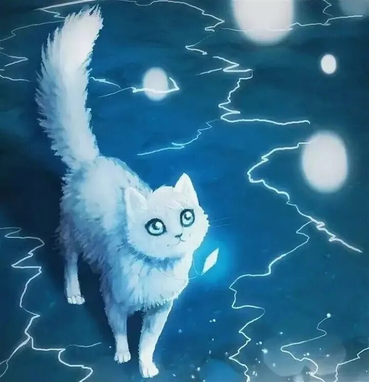 Ледяной котенок