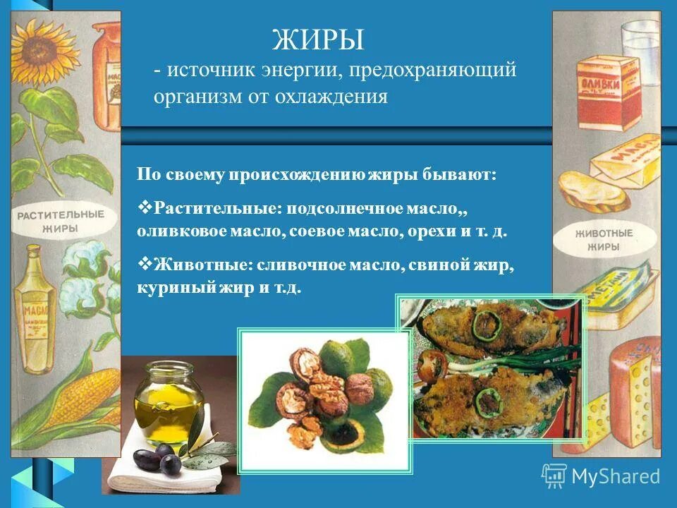 % жира в организме. энергичность жиры. жировая энергетика. энергия жиров. полезные и вредные жиры.