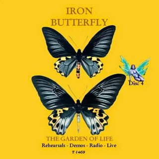 Iron butterfly