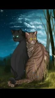 Грач и листвичка коты