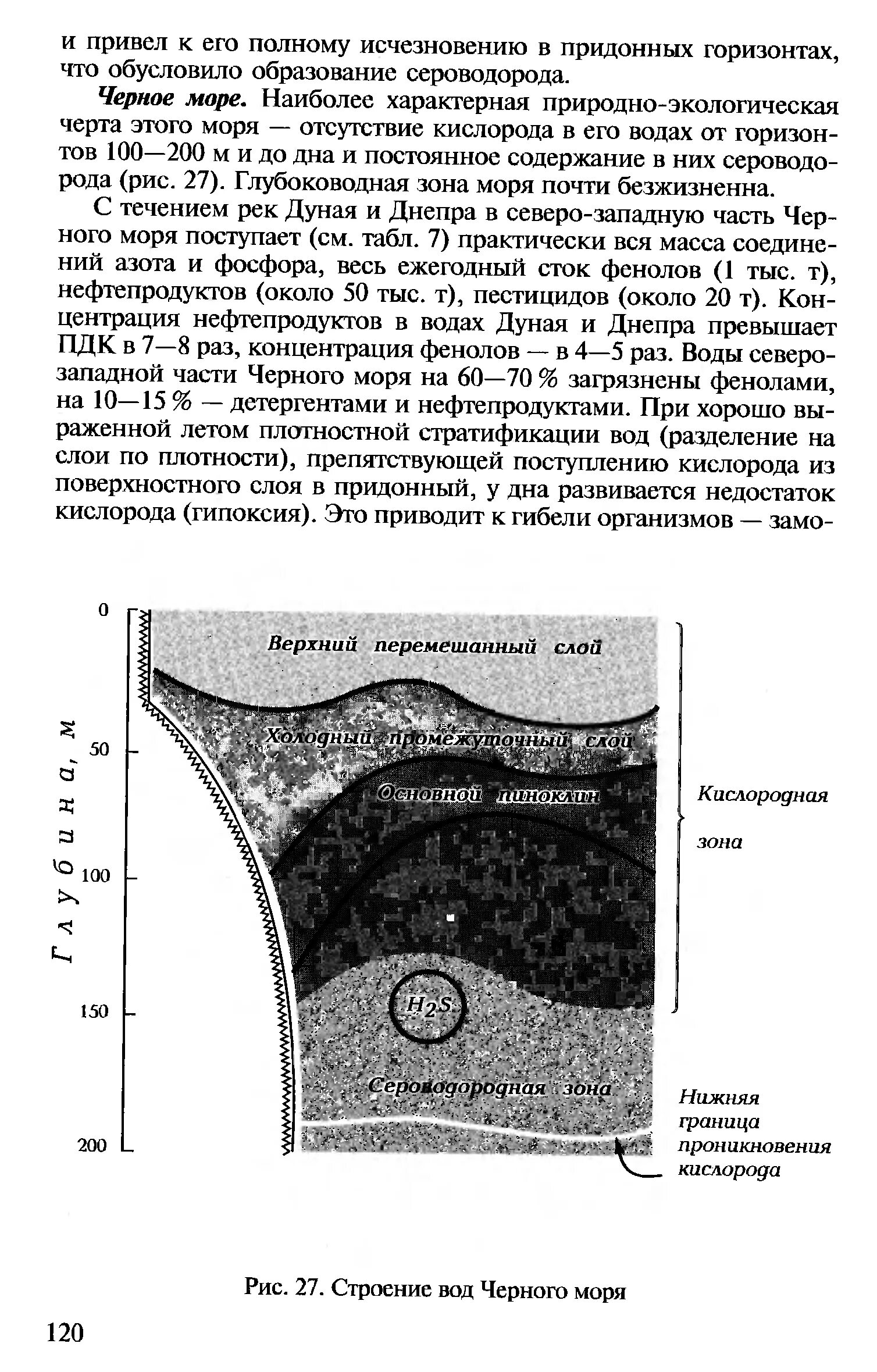 Структура вод черного моря. Черное море структура водных слоев. Строение дна черного моря. Черное море слой сероводорода. Черная вода состав