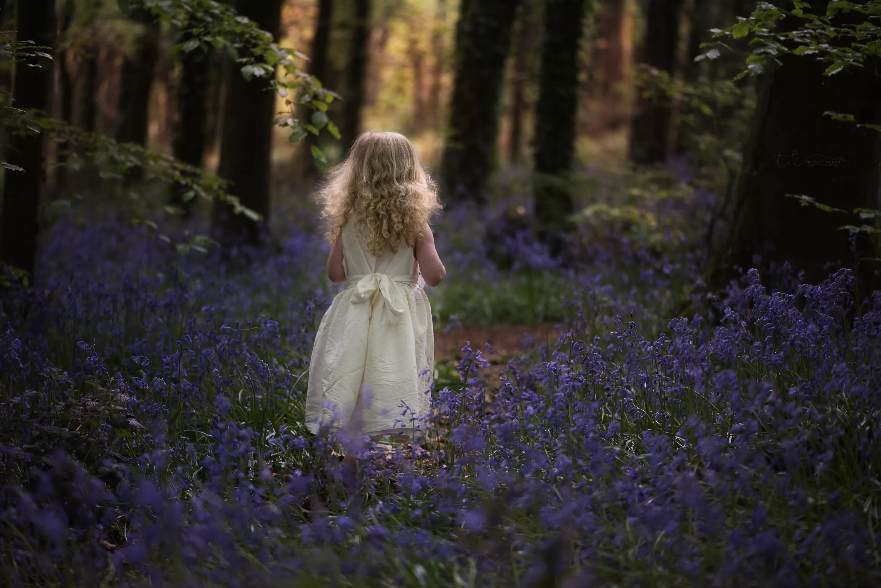 Девочка в лесу. Девушка с колокольчиком. Фотосессия в лесу весной. Маленькая Лесная девочка.