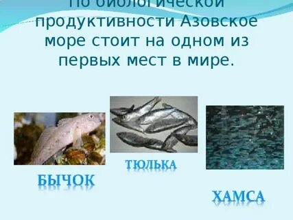 Биологические ресурсы азовского