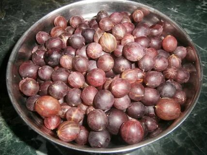 Крыжовник заморозка