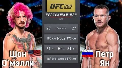 Когда будет бой шона о мэлли
